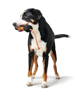 Hunter Dummy Portasnacks Rope Training -Dog Supplies Sale Store HU67865 2 637e070c6cfbd