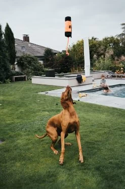 Hunter Dummy Portasnacks Rope Training -Dog Supplies Sale Store HU67865 4 637e070e7932b