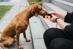 Hunter Dummy Portasnacks Rope Training -Dog Supplies Sale Store HU67865 5 637e070ddd58d