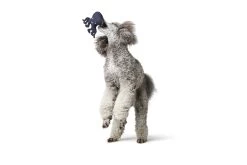 Hunter Skagen Octopus Dog Toy -Dog Supplies Sale Store HU69002 1 637df0aba977e