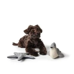 Hunter Skagen Star Dog Toy -Dog Supplies Sale Store HUNTER juguete estrella mar 3 DOG 63beef93797ea