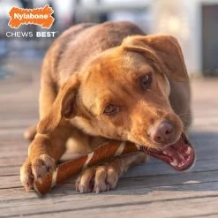 Nylabone Ec Porkhide Bone Bacon & Pb -Dog Supplies Sale Store JU01724 4 637e375013dd5