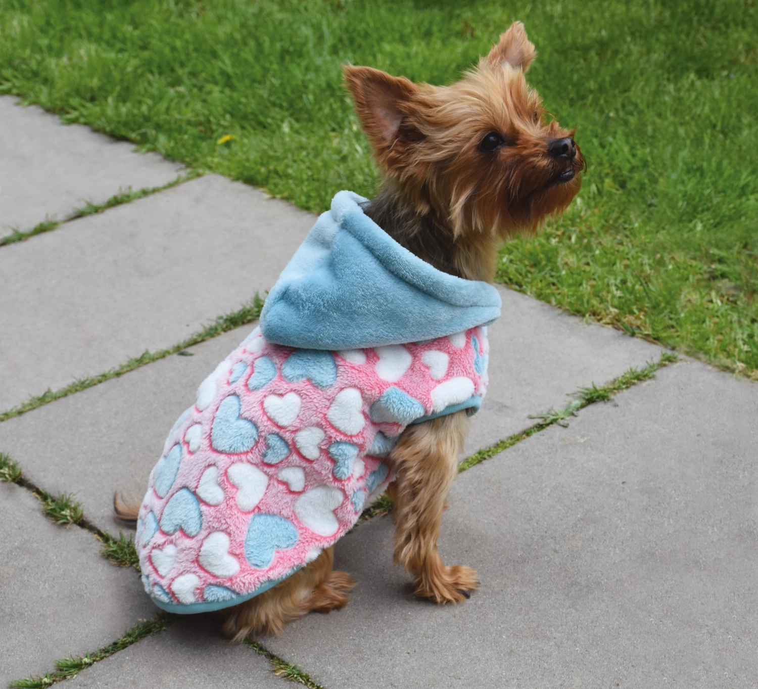 Nayeco Lollipop Hooded Sweatshirt 4 Nayeco Lollipop Hooded Sweatshirt - Image 2