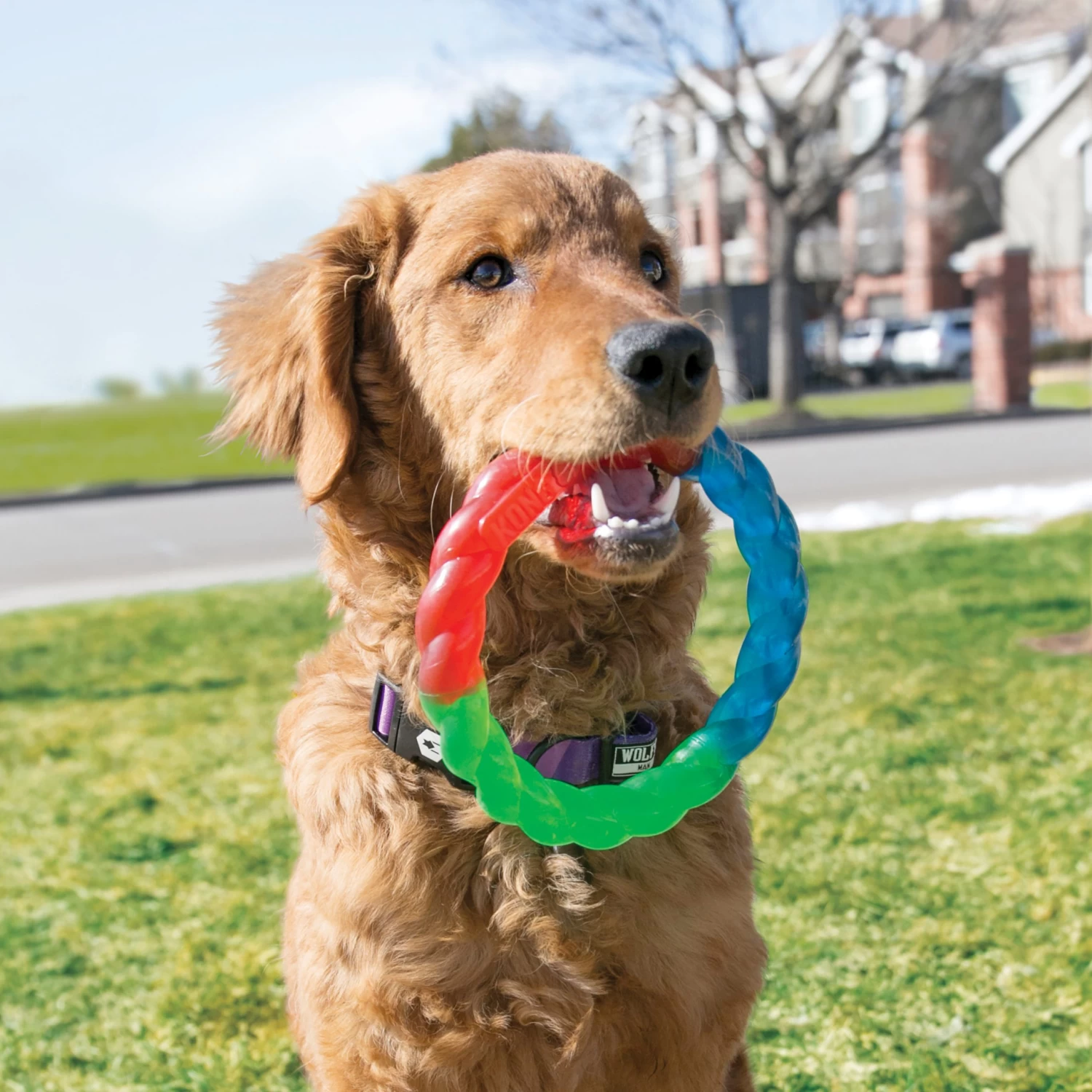 KONG Twistz Ring Large Dog Chew 4 KONG Twistz Ring Large Dog Chew - Image 2