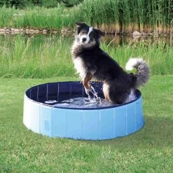 Trixie Dog Pool