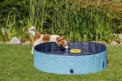 Trixie Dog Pool -Dog Supplies Sale Store PHO PRO DOG 39480 39481 39482 39483 5