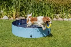 Trixie Dog Pool -Dog Supplies Sale Store PHO PRO DOG 39480 39481 39482 39483 7