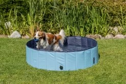 Trixie Dog Pool -Dog Supplies Sale Store PHO PRO DOG 39480 39481 39482 39483 9