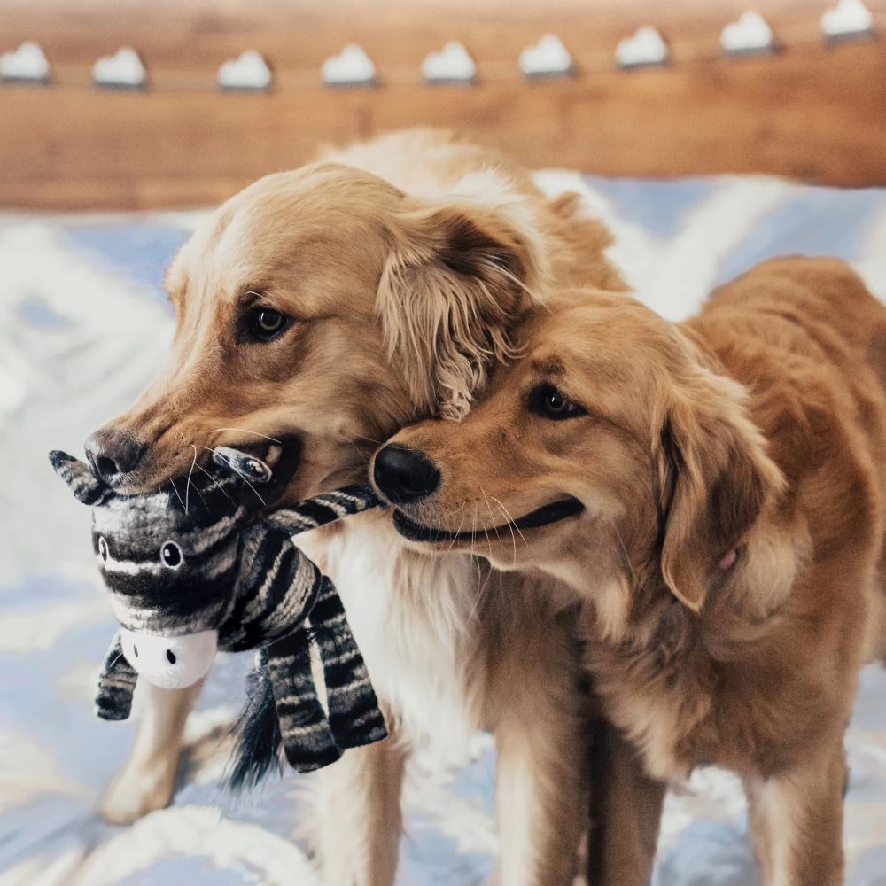 KONG Yarnimals Monkey Dog 4 KONG Yarnimals Monkey Dog - Image 2