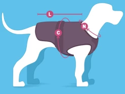 Red Dingo Reversible Coat Puffer Jachet Purple -Dog Supplies Sale Store Size 63879bdb35253 1