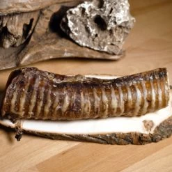 Traveness Tráquea De Vacuno Snack Para Perros -Dog Supplies Sale Store Traquea 4 62826010cc461