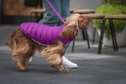 Red Dingo Reversible Coat Puffer Jachet Purple -Dog Supplies Sale Store VE05050MO VE05051MO VE05052MO VE05053MO VE05054MO VE05055MO 4 637cbd1d3ff11