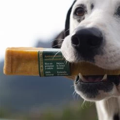 Wild Balance Teether Natural Yak Milk In The Himalayas With Turmeric For Dogs -Dog Supplies Sale Store Wild Yaky Golden Curcuma barrita leche yak himalaya curcuma 3 620cf10a28393