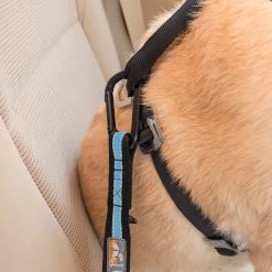 Kurgo Seat Belt Adapter -Dog Supplies Sale Store adaptador cinturon de seguridad 3