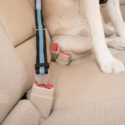 Kurgo Seat Belt Adapter -Dog Supplies Sale Store adaptador cinturon de seguridad 4