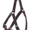 Bobby Escapade Harness