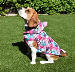 Nayeco Snowboarding Lover Jacket -Dog Supplies Sale Store beagle con chaqueta 63453858df568