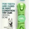 Tastybone Bone Dental Parsley -Dog Supplies Sale Store bone dental perejil 1
