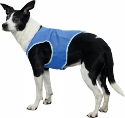 Pawise Refreshing Vest -Dog Supplies Sale Store chaleco refrescante para perro 63346b0bee729