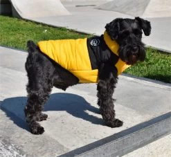 Nayeco Outing Jacket Mustard For Dogs -Dog Supplies Sale Store chaqueta para perro mostaza 63288f4cc99ea