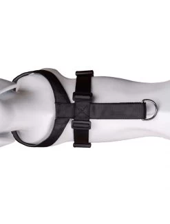 The Company Of Animals Car Safe Dog Travel Harness 17 The Company Of Animals Car Safe Dog Travel Harness -Dog Supplies Sale Store coa29021b 3 624ebb227e33f