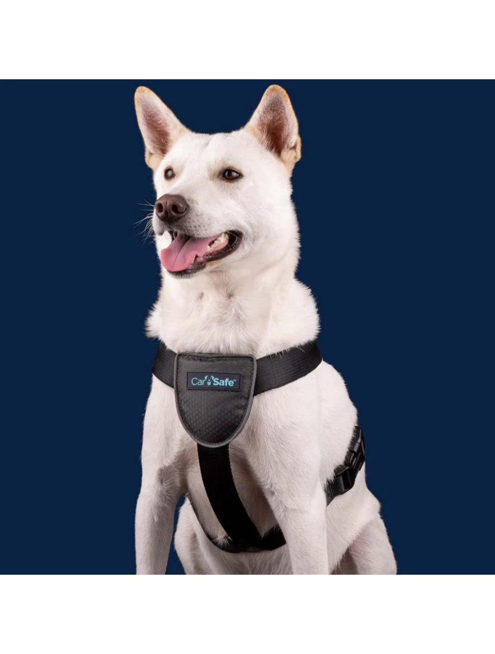 The Company Of Animals Car Safe Dog Travel Harness 7 The Company Of Animals Car Safe Dog Travel Harness - Image 5