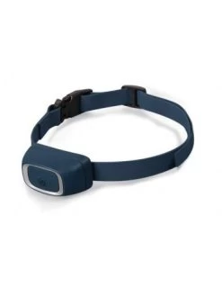 Petsafe Additional Training Collar For Trainer Dogs 300/600/900 Trainer Dogs