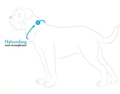 Hunter Vario Basic Collar 11 Hunter Vario Basic Collar -Dog Supplies Sale Store collar hunter 62ac7083eeda3