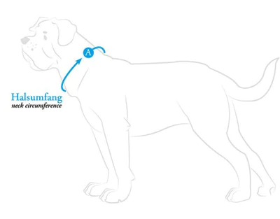 Hunter Vario Basic Collar 7 Hunter Vario Basic Collar - Image 5