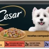 Cesar Wet Food For Dogs Multipack Country Recipes In Sauce