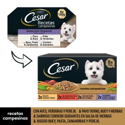 Cesar Wet Food For Dogs Multipack Country Recipes In Sauce 11 Cesar Wet Food For Dogs Multipack Country Recipes In Sauce -Dog Supplies Sale Store comida humeda para perros multipack recetas campesinas en salsa 2
