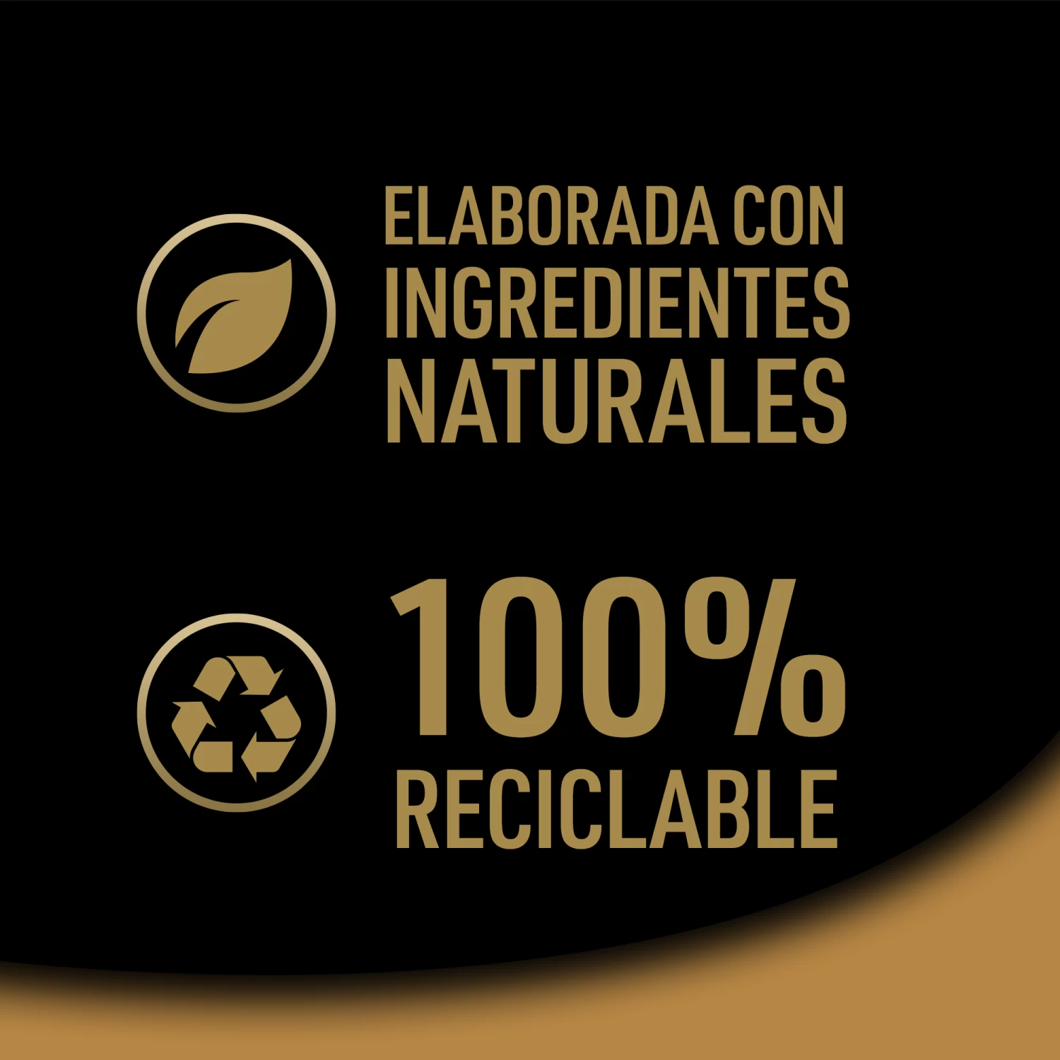 Cesar Wet Food For Dogs Multipack Country Recipes In Sauce 10 Cesar Wet Food For Dogs Multipack Country Recipes In Sauce - Image 8