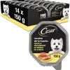 Pack 14 Cesar Wet Food Dogs Recipes From The Garden In Pate And Jelly Jub 2 Pack 14 Cesar Wet Food Dogs Recipes From The Garden In Pate And Jelly Jub -Dog Supplies Sale Store comida humeda perros recetas de la huerta en pate gelatina tarrina 13