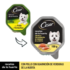 Pack 14 Cesar Wet Food Dogs Recipes From The Garden In Pate And Jelly Jub 14 Pack 14 Cesar Wet Food Dogs Recipes From The Garden In Pate And Jelly Jub -Dog Supplies Sale Store comida humeda perros recetas de la huerta en pate gelatina tarrina 2