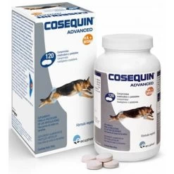 Cosequin Advanced Condroprotector Ds Msm Ha -Dog Supplies Sale Store cosequin advanced ha msm 62176304da8ab