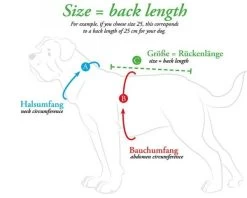 Hunter Dog Pullover Malmö Negro -Dog Supplies Sale Store e 53rYZl messanleitungen bekleidung 2020 05 600x600 637f2a8fee2d5