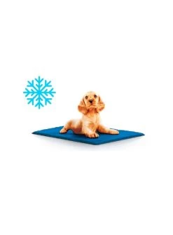 Freedog Refreshing Blanket -Dog Supplies Sale Store freedog tapete refrescante 030070304 62323bc92c362 1