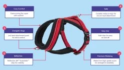 The Company Of Animals Comfy Padded Harness -Dog Supplies Sale Store halti walking comfy harness image carousel 1100 x 620 62332bafa0624