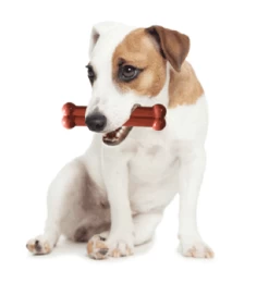 Tastybone Twinpack Game Pheasant And Duck 8 Tastybone Twinpack Game Pheasant And Duck -Dog Supplies Sale Store image qp 3 63491557300cb