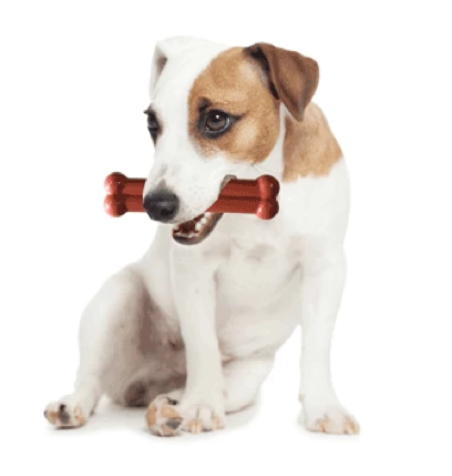 Tastybone Twinpack Game Pheasant And Duck 5 Tastybone Twinpack Game Pheasant And Duck - Image 3