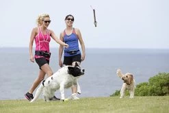 Doog Stick Woody -Dog Supplies Sale Store juguete palo para perro 63876517bc0da