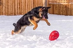 Jolly Pets Jolly Egg Interactive -Dog Supplies Sale Store juguete para perros pelota huevo 629f5480009b2