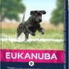 Eukanuba Junior Large Breed -Dog Supplies Sale Store junior razas grandes 1