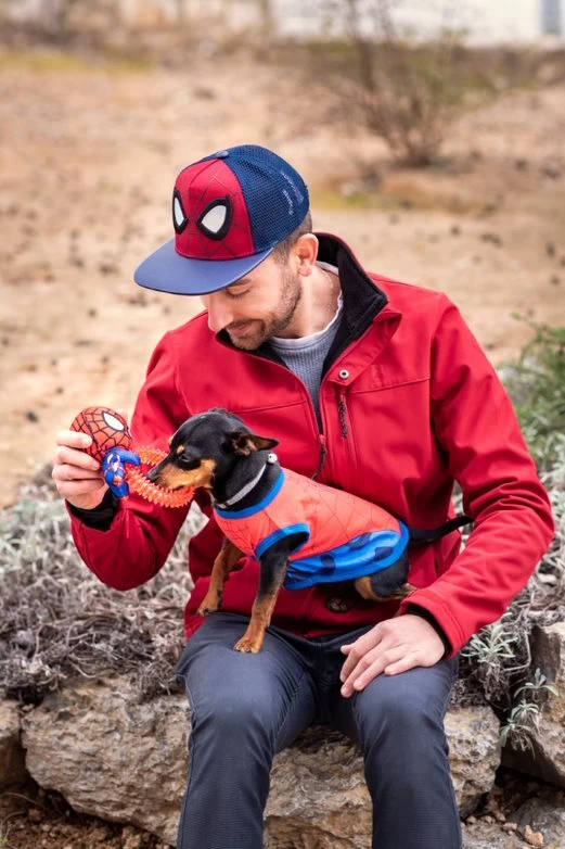 For Fan Pets Spiderman Dog Teether 9 For Fan Pets Spiderman Dog Teether - Image 7