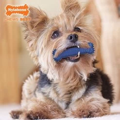Nylabone Dental Chew Plaque Attacker -Dog Supplies Sale Store nylabone chews bone 641c685ae5406