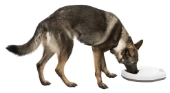 Trixie Smart Feeder TX4+1 For Dogs And Cats 22 Trixie Smart Feeder TX4+1 For Dogs And Cats -Dog Supplies Sale Store originals PHO PRO DOG CLIP PHO PRO DOG CLIP 24384 1 SALL AWK V1 63b3f36449f45