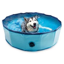 Arquivet Dog Pool