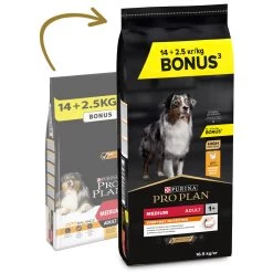 Pro Plan Optibalance Medium Adult Rich In Chicken -Dog Supplies Sale Store pro plan everyday nutrition medium racao seca para cao adulto medio frango 2 63f5233d32755
