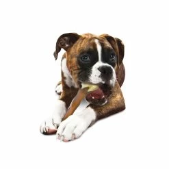 Nylabone Extreme Chew Femur - Beef Flavor Xl -Dog Supplies Sale Store s l1600 64776bb296fdd