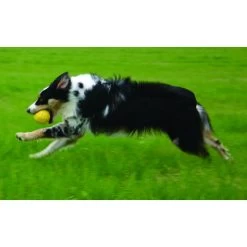 Starmark Pelota Amarilla Fantastic Durafoam 5 Starmark Pelota Amarilla Fantastic Durafoam -Dog Supplies Sale Store starmark pelota durafoam 2 628f6223e5bd4